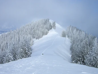 Schneeschuhwanderung Stierkopf