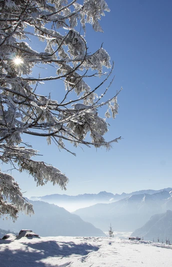 Blick vom Hörnle auf die Zugspitze