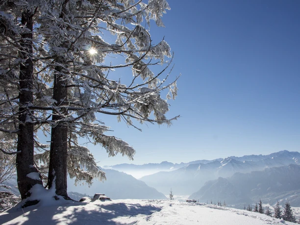 Blick vom Hörnle auf die Zugspitze