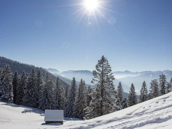Winterwanderung Hörnle Sattle