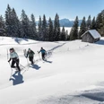 Schneeschuhwanderung Hörnle