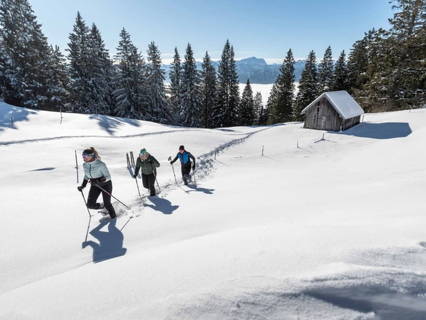 Schneeschuhwanderung Hörnle