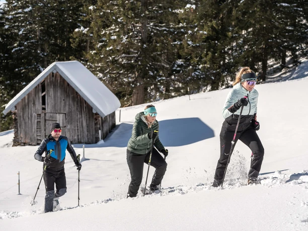 Schneeschuhwandern am Hörnle