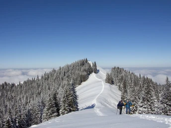 Um die Hörnle Gipfel