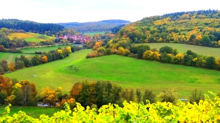 Blick auf Kloster Bronnbach