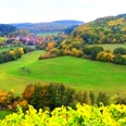 Blick auf Kloster Bronnbach