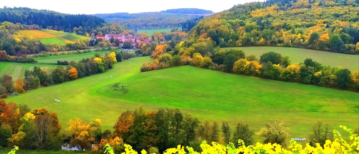 Blick auf Kloster Bronnbach
