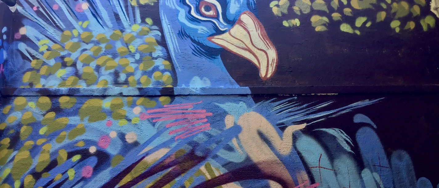 Graffiti Rosentor Pfau