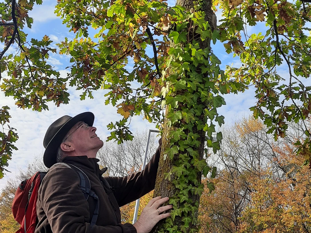 Stadtbaumführung_Klaus