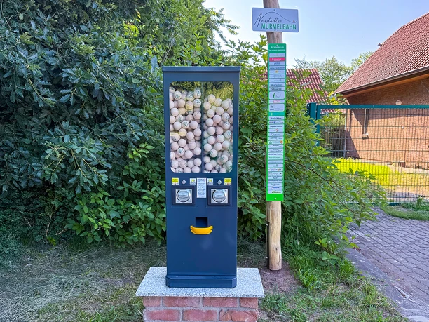 Ein blauer Automat voller Holzmurmeln steht an einem Weg neben grünem Buschwerk und Schildern in Neustadt.