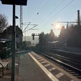 Bahnhof Wehlen Bahnsteig mit Gleisen, Bäume und Sonne.