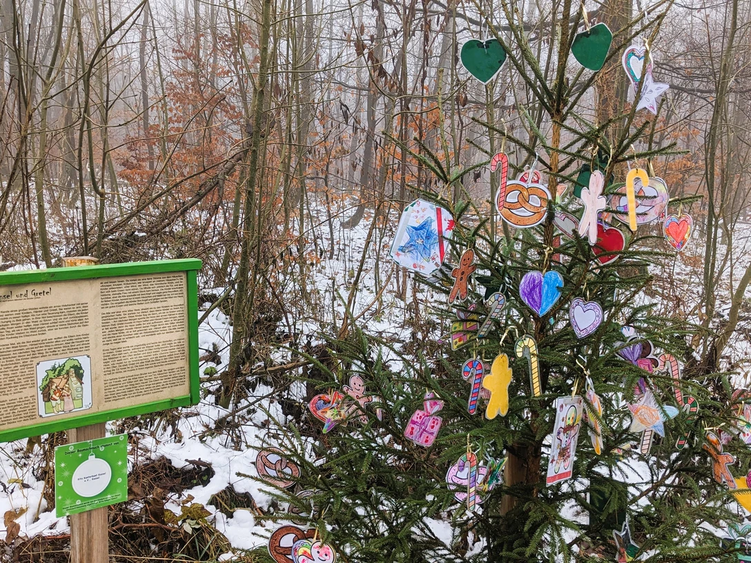 2025-11-25 Märchen-Weihnachtsweg Herkules_Annika Ludolph_ccby Naturpark Habchtswald (8).jpg