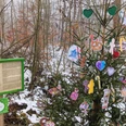 2025-11-25 Märchen-Weihnachtsweg Herkules_Annika Ludolph_ccby Naturpark Habchtswald (8).jpg