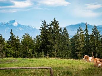 Warngau Blick auf den Taubenberg