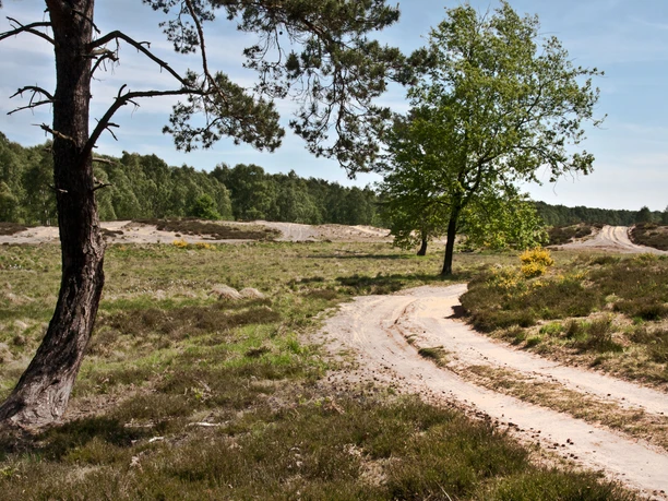 Wahner Heide