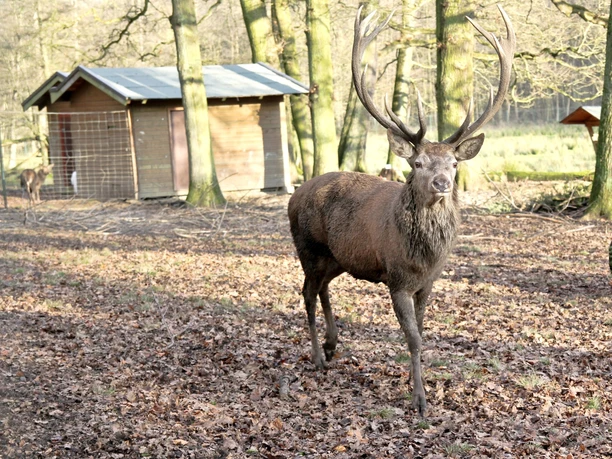 Wildgehege Troisdorf