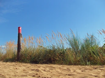 Sandige Wege durch die Heidelandschaft