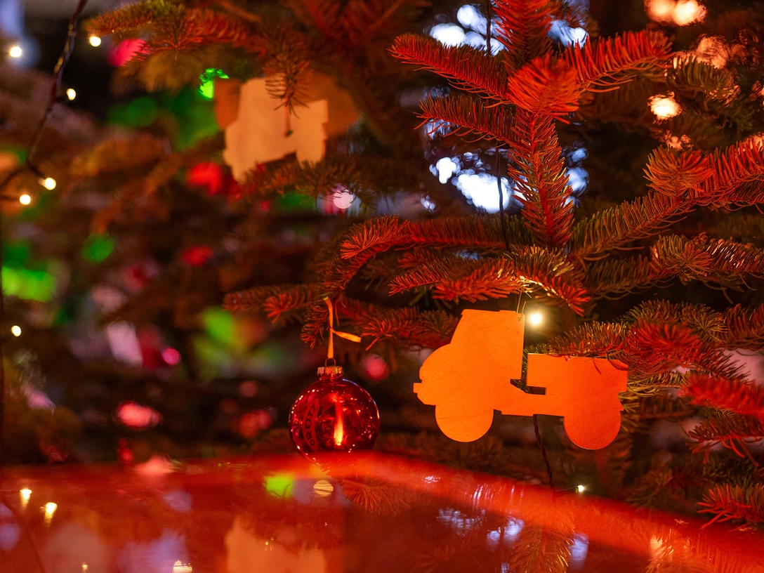 _DSC4402_72_dpi_Christbaum