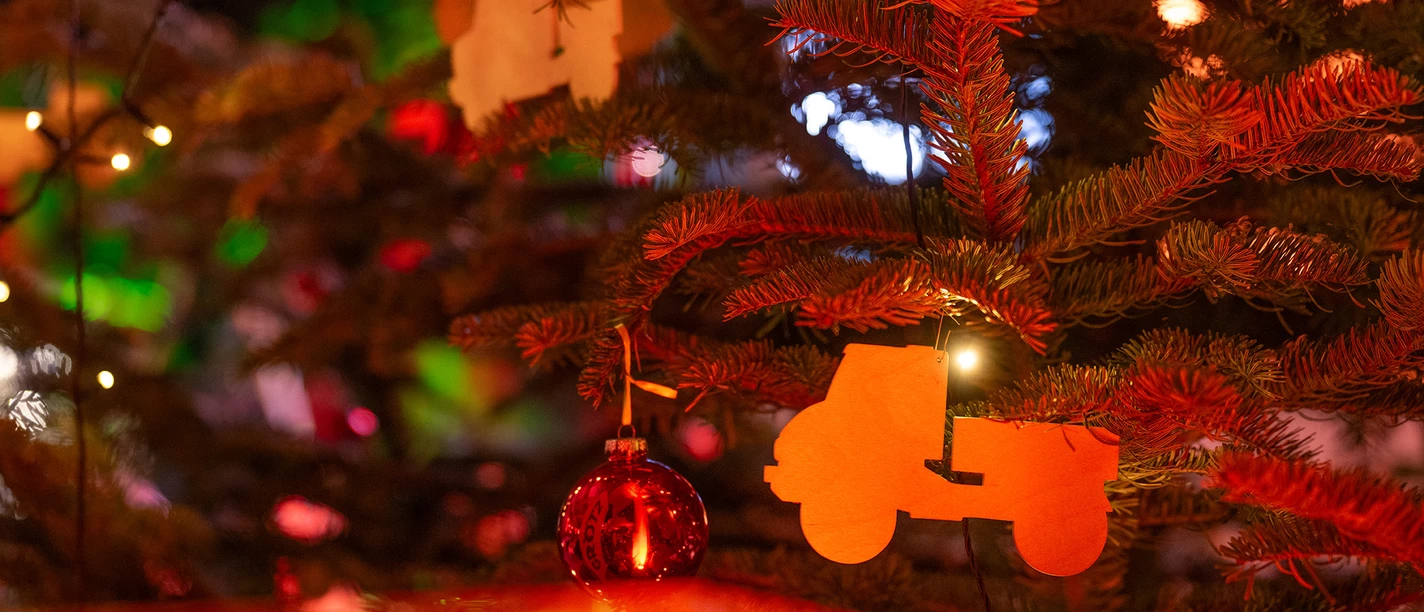 _DSC4402_72_dpi_Christbaum