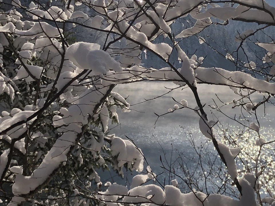 Winter in der Oase Densberg