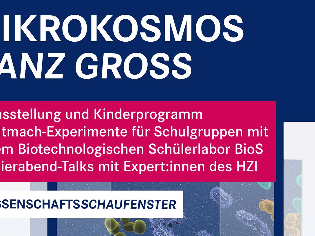 Poster_Auswahl final_K_Veranstaltungskalender.jpg