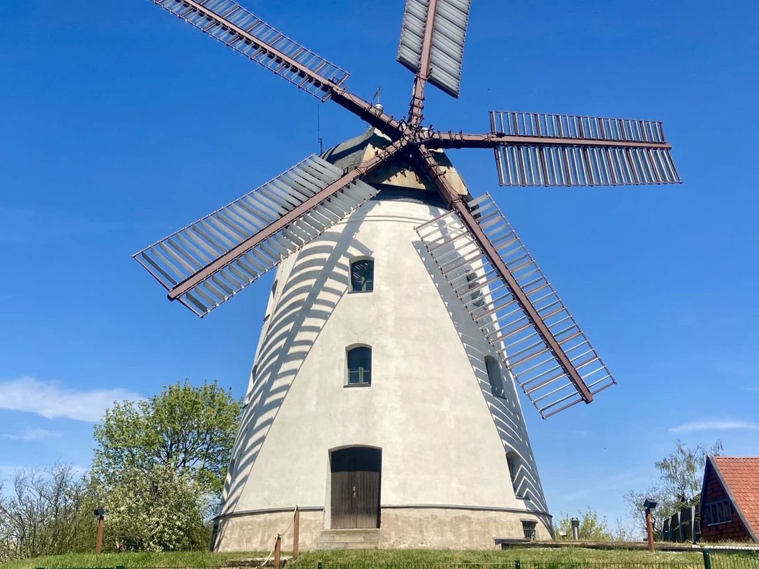 Mühle Wendhausen 2 (c) A Geschke_quadrat.jpg