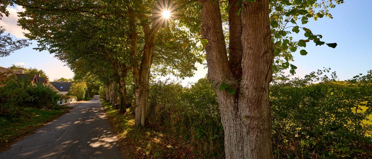 nieby-strasse-radtour-strandtoern nieby-strasse-radtour-strandtoern