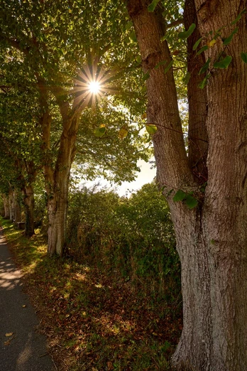 nieby-strasse-radtour-strandtoern nieby-strasse-radtour-strandtoern