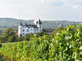 Blick auf Schloss Berg