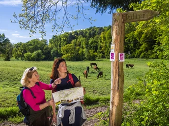 Beschilderung am Wanderweg