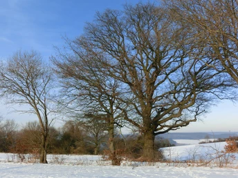 Rastplatz "Drei Eichen"