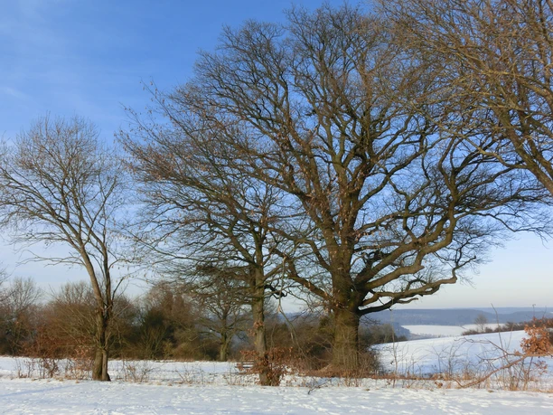 Rastplatz "Drei Eichen"
