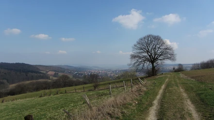 Blick vom Wadenberg