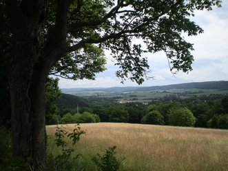 Blick auf Bad Gandersheim