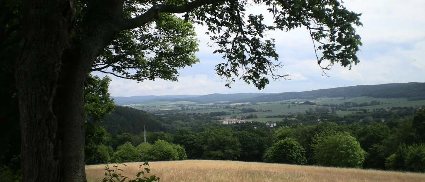 Blick auf Bad Gandersheim