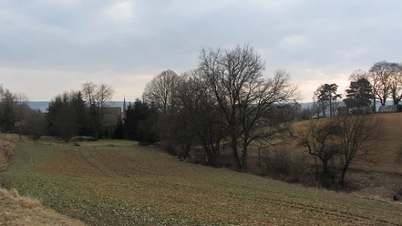 Im Luhebachtal