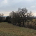 Im Luhebachtal