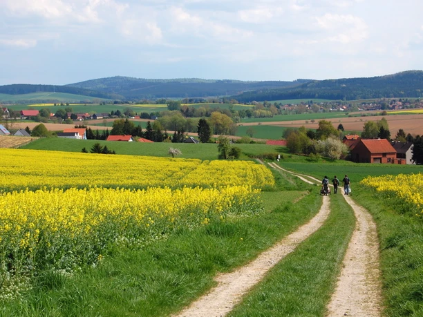Blick in die Harzbörde