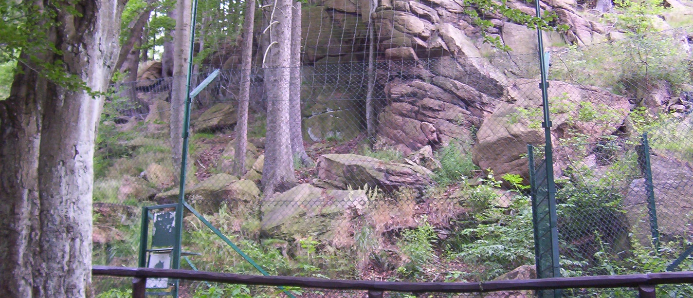 Das Luchsgehege bei den "Rabenklippen"