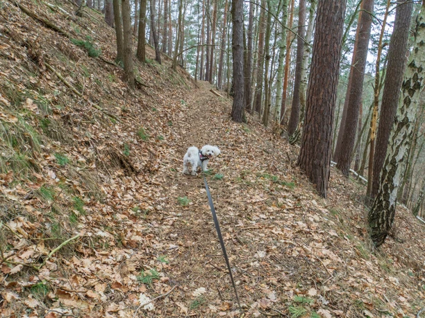 Auf dem Weg zum Krähenhüttenfels, Stefan Herfurth