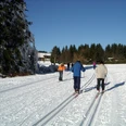 Langlaufloipe in Sankt Andreasberg