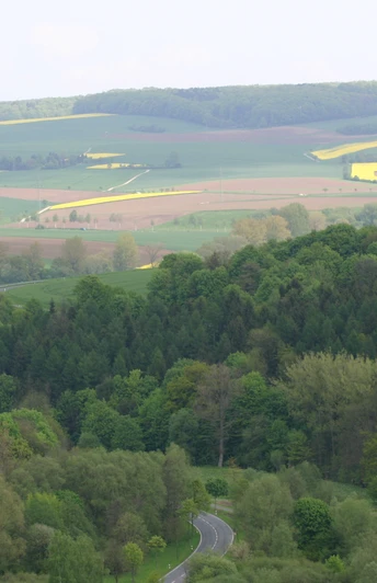 Blick vom Bergkurpark