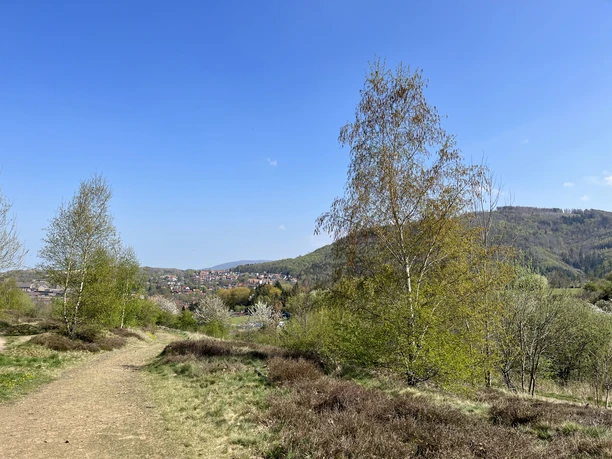 Ausblick auf Oker