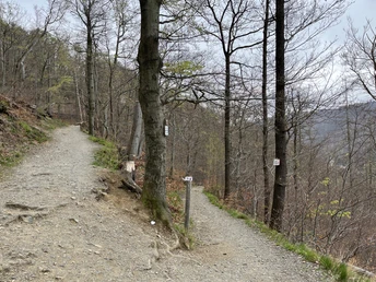 Trails oberhalb Bad Harzburgs