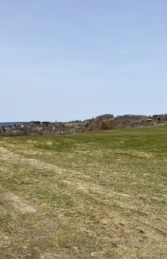 Blick über die Bergwiesen von Sankt Andreasberg
