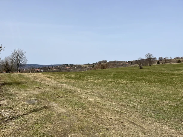 Blick über die Bergwiesen von Sankt Andreasberg