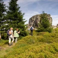 Bergmassiv "Auf dem Acker" im Nationalpark