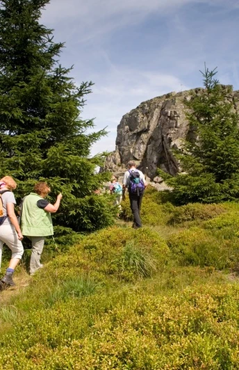 Bergmassiv "Auf dem Acker" im Nationalpark