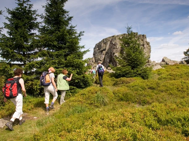 Bergmassiv "Auf dem Acker" im Nationalpark