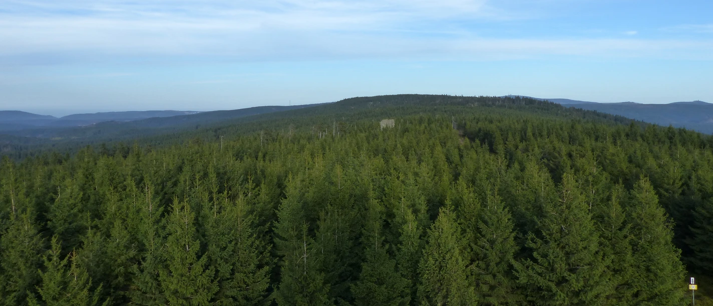 Blick von der Hanskühnenburg über den Höhenzug 'Auf dem Acker'